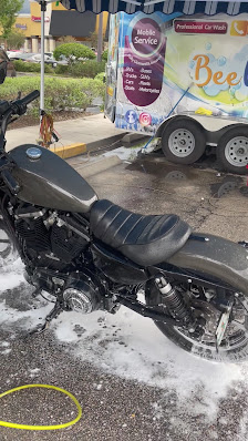 Water beading on protected paint